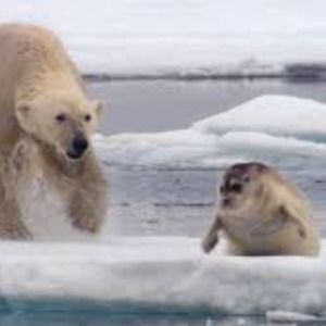 Meet your Posher, Christian